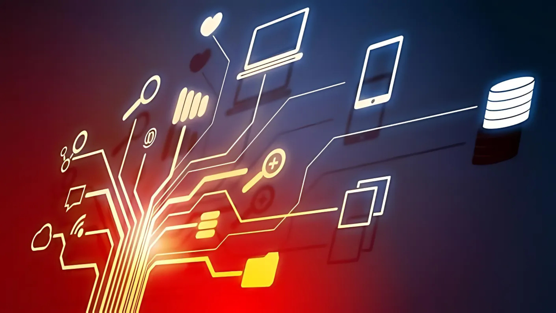 Maintain Privacy and Avoid Common Risks