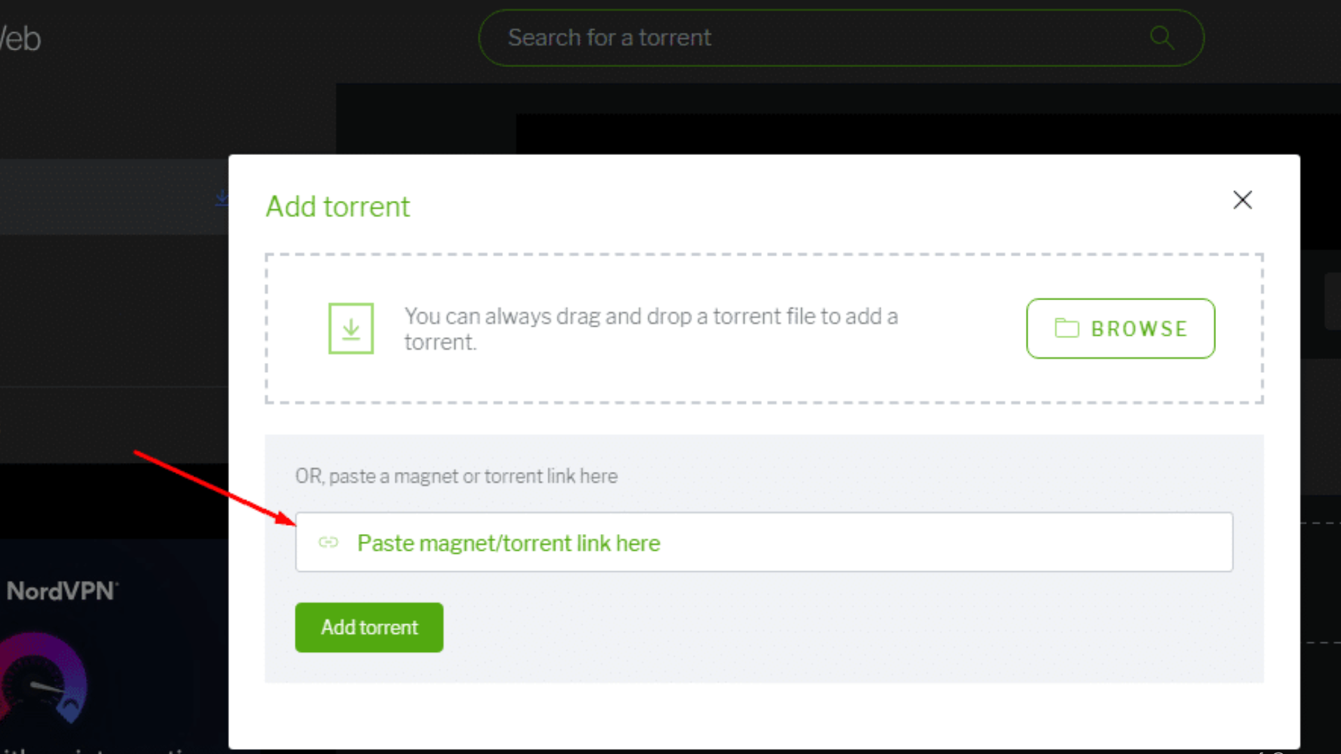Using a Torrent Clien